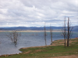 Book Anglers Reach NSW Attractions Hervey Bay Accommodation Hervey Bay Accommodation