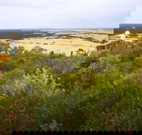 Archer Drive Scenic Drive and Lookout - Tourism Hervey Bay