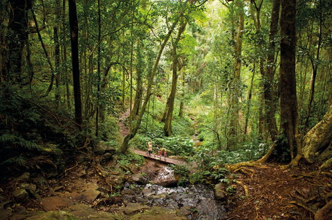 Big Sky National Parks - Tourism Hervey Bay 1
