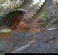 Bindjareb Cultural Park - Hervey Bay Accommodation