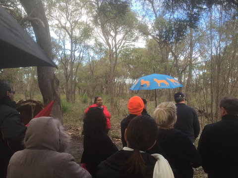 Bindjareb Cultural Park - Hervey Bay Accommodation 2