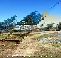 Bindea Walking Track - Tourism Hervey Bay