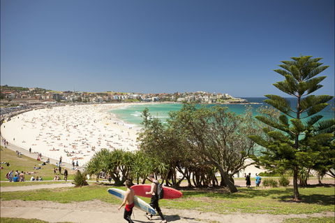 Bondi To Coogee Coastal Walk - Hervey Bay Accommodation 0