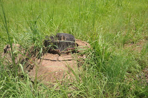 Brocks Creek Chinatown And Temple Site - Hervey Bay Accommodation 0