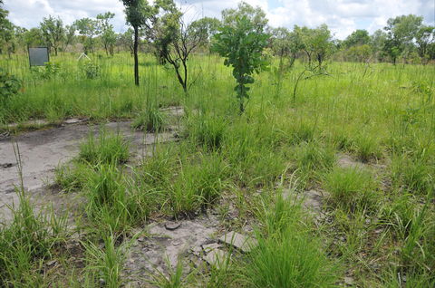 Brocks Creek Chinatown And Temple Site - Hervey Bay Accommodation 2