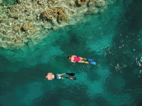Capricornia Cays National Park - Hervey Bay Accommodation 1