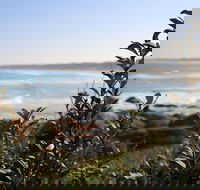 Cape Conran Coastal Park - Hervey Bay Accommodation