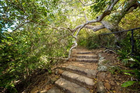 Capricorn Coast National Park - Hervey Bay Accommodation 2