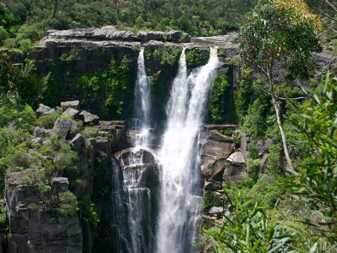Carrington Falls - Tourism Hervey Bay 0