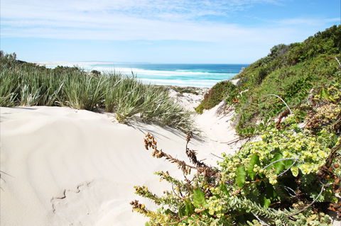 Coffin Bay National Park - Hervey Bay Accommodation 1