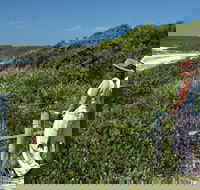 Conjola Beach Picnic Area - Tourism Hervey Bay