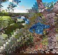 Corkwood and Scribbly Gum Walking Track - Hervey Bay Accommodation