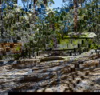 Couridjah Corridor Walk - Hervey Bay Accommodation