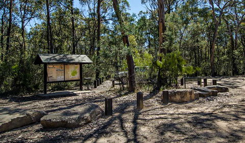 Couridjah Corridor Walk - Tourism Hervey Bay 0