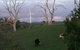 Crookwell Wind Farm - thumb 1