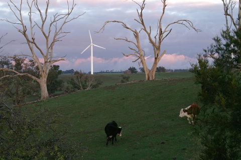 Crookwell Wind Farm - Hervey Bay Accommodation 1