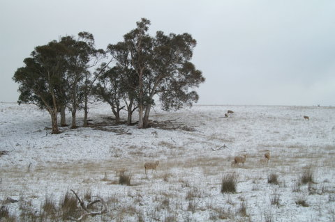 Crookwell Wind Farm - Hervey Bay Accommodation 2
