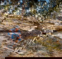 Cycle Mogo State Forest - Hervey Bay Accommodation