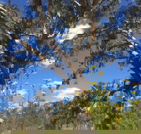 Euroa Arboretum - Hervey Bay Accommodation