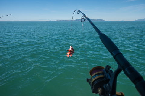 Fishing At Magnetic Island - Hervey Bay Accommodation 1