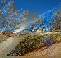 Freshwater Creek Track Byfield National Park - Hervey Bay Accommodation