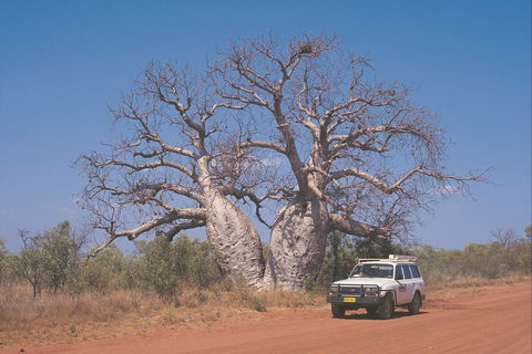 Gibb River Road - Hervey Bay Accommodation 2
