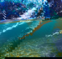 Glenreagh - Hervey Bay Accommodation