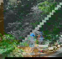 Gloucester National Park - Hervey Bay Accommodation