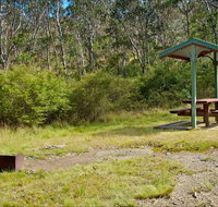 Gloucester Tops picnic area - Hervey Bay Accommodation