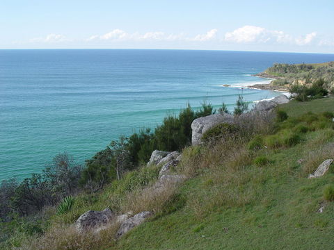 Goanna Headland - Hervey Bay Accommodation 1