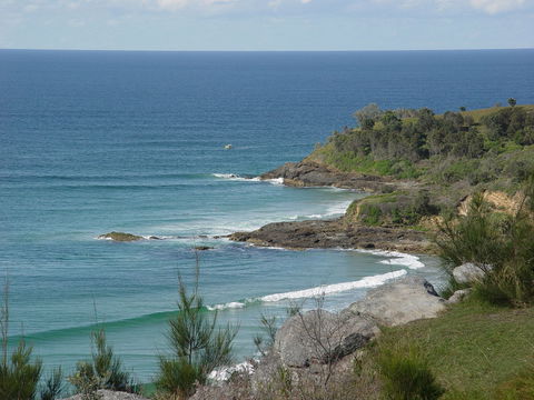 Goanna Headland - Hervey Bay Accommodation 2