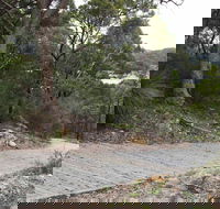 Great North Walk  Ku-ring-gai Chase National Park - Hervey Bay Accommodation