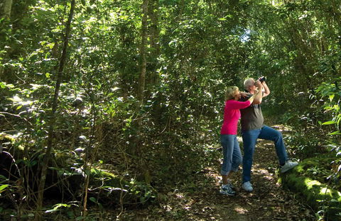 Iluka Rainforest Walking Track - Hervey Bay Accommodation 0