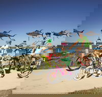 Labrador - Tourism Hervey Bay