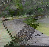Leschenault Peninsula Conservation Park - Hervey Bay Accommodation