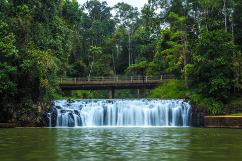 Malanda Falls - Tourism Hervey Bay 0