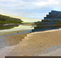 Mangrove Walk - Hervey Bay Accommodation