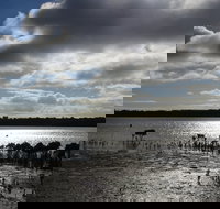 Marine Parade Hastings Foreshore Reserve Circuit - Cycling - Hervey Bay Accommodation