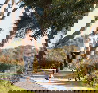 Meningie Walking and Cycling Trails - Tourism Hervey Bay