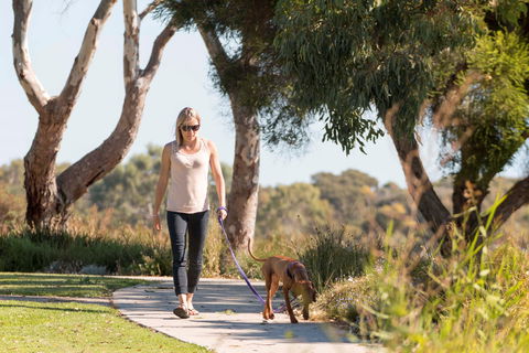 Meningie Walking And Cycling Trails - Hervey Bay Accommodation 0