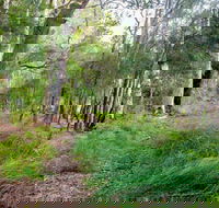 Meroo Lake walking track - Tourism Hervey Bay