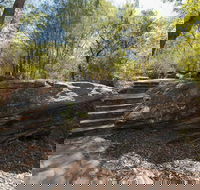 Mooney Mooney nature walk