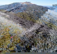 Mt Buller Bike Park