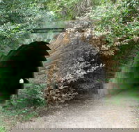 Mushroom Tunnel - Hervey Bay Accommodation