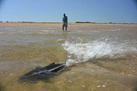 Ningaloo Fly Fishing - Hervey Bay Accommodation 2