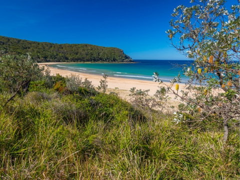 North Durras Beach - Hervey Bay Accommodation 0