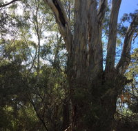 Northern Beaches