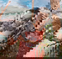 Oakvale Wildlife Park - Hervey Bay Accommodation