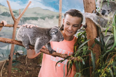 Oakvale Wildlife Park - Hervey Bay Accommodation 0
