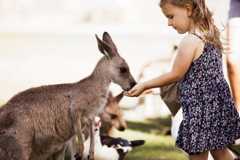 Oakvale Wildlife Park - Hervey Bay Accommodation 1